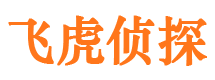 海珠调查公司